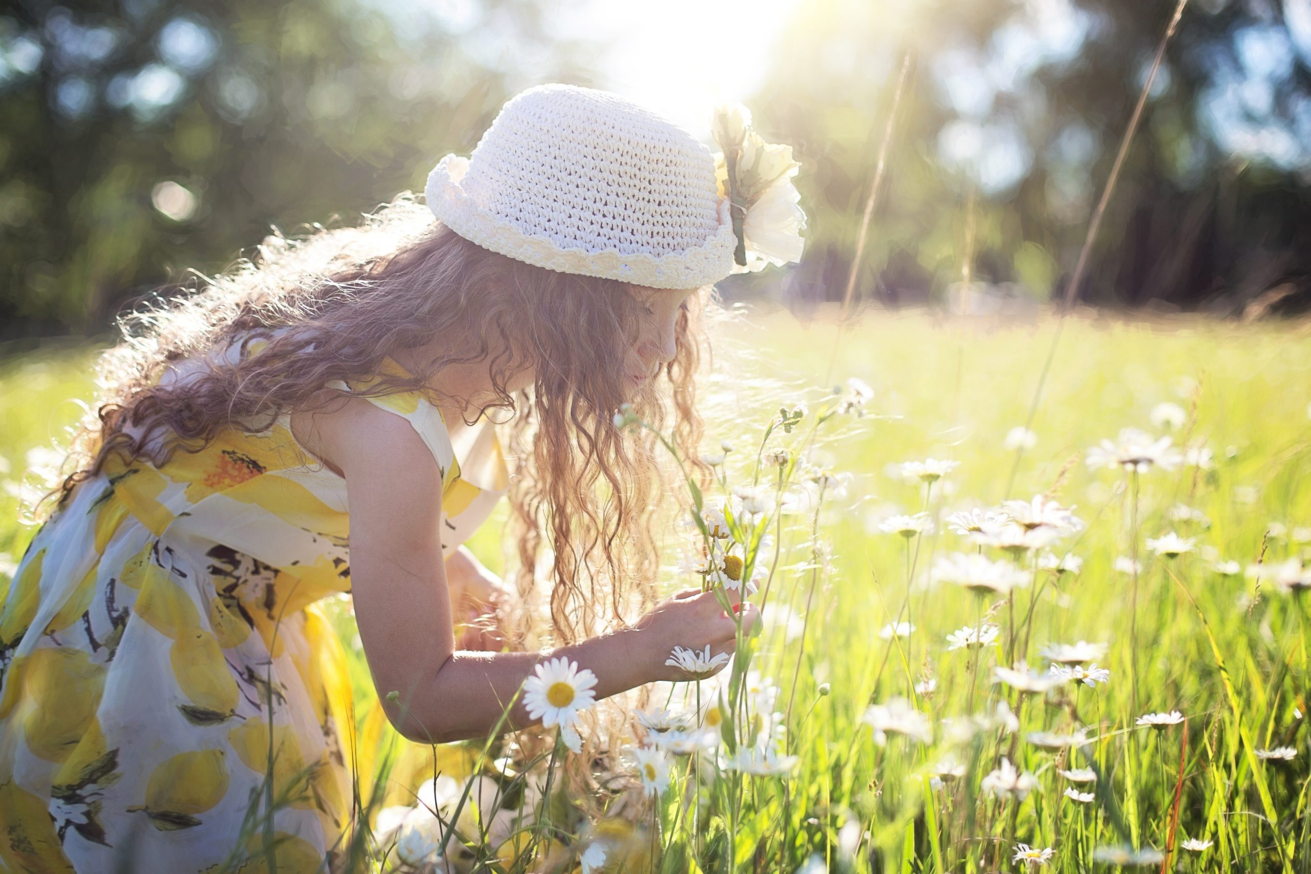 The power of giving our ATTENTION to that which is BEAUTIFUL.
